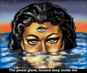 Black Energy Removal